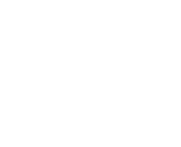 Toys For Bob